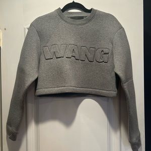 Alexander Wang X H&M cropped top
